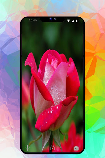Flowers Wallpaper Screen 3