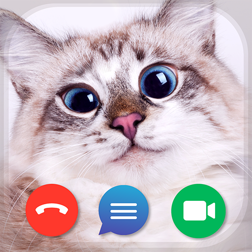 Cat Fake Video Calls and Chat  Icon