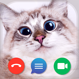 Cat Fake Video Calls and Chat Mod Apk
