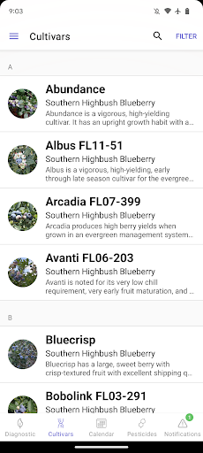 UF Blueberry Growers Guide