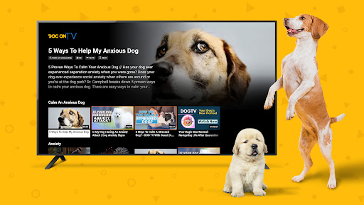 Screenshot of Dog TV