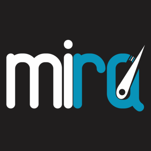 Mira Bus Driver logo
