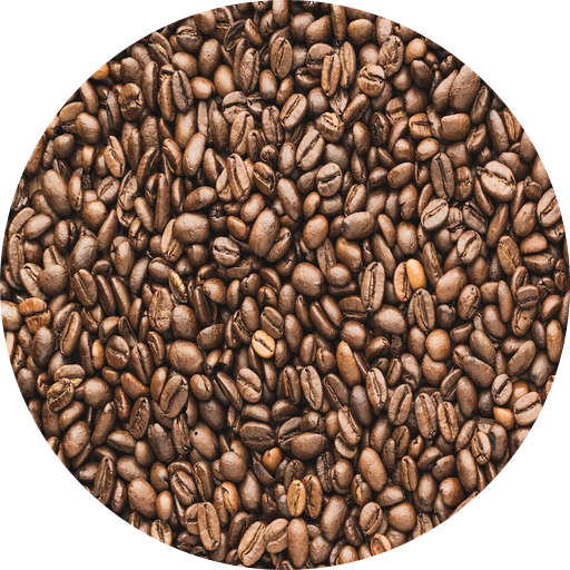 Find Yeezy logo