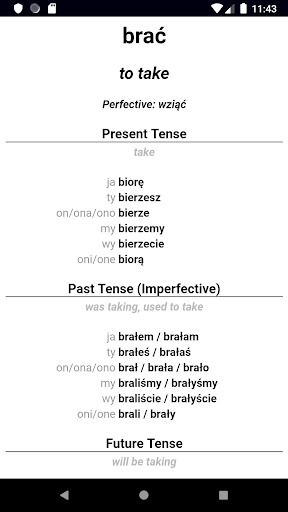 Polish Verb Blitz Pro Screen 3