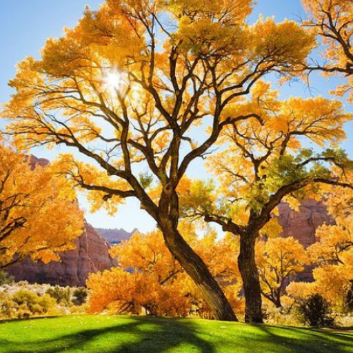 Tree Wallpapers Download on Windows
