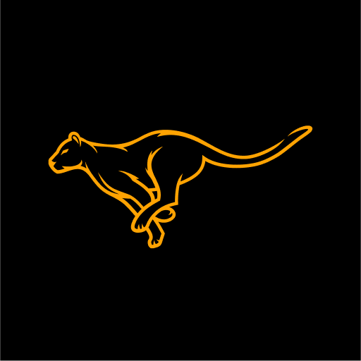 Cheetah Broker: Driver logo