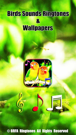 Android application Birds Sounds & Live Wallpapers screenshort
