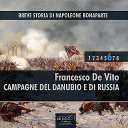 Icon image Breve storia di Napoleone Bonaparte vol.6: Campagne del Danubio e di Russia