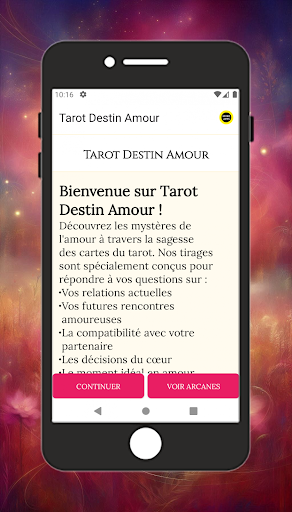 Aperçu de l'application