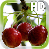 Berry Cherry LWP Free icon