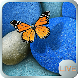 Color Butterfly Live wallpaper icon
