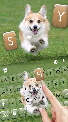 Happy Corgi Keyboard Backgroun Screen 2