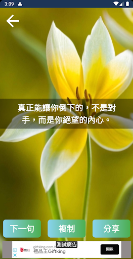 精選人生勵志金句，語錄，真言，座右銘 Screen 2