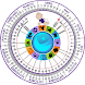 Pregnancy Wheel - Androidアプリ