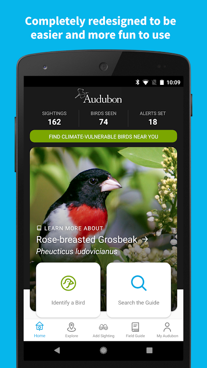 Audubon Bird Guide - 6.7.4 - (Android)