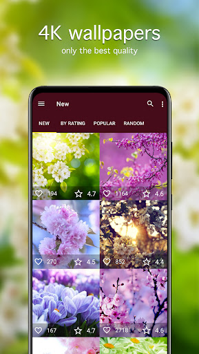 Spring Wallpapers PRO Screen 2