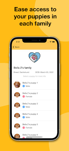 My Kennel Screen 2
