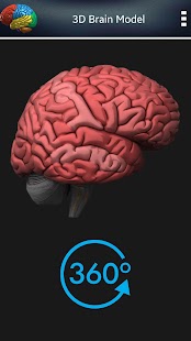 3D menschliches Gehirn + Screenshot