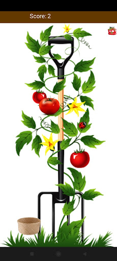 TOMATO Screen 2