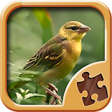 Birds Puzzle Games - Amazing Puzzles Free icon