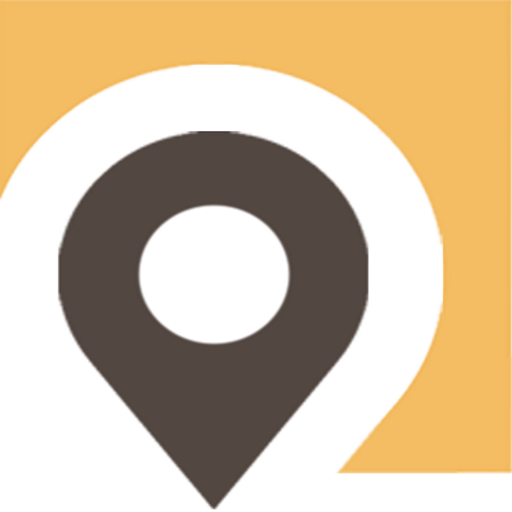 CARVIS мониторинг