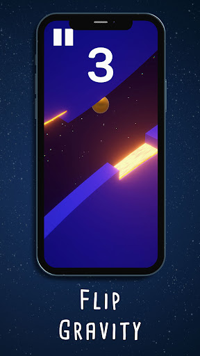 Vertical Flip Gravity Screen 3