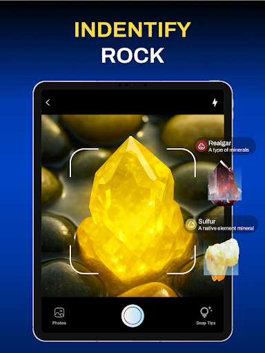 Wesnap Coin Identifier