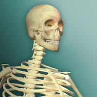 Idle Human 2