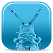 Top 37 Education Apps Like Pest Thrips of East Africa - Best Alternatives