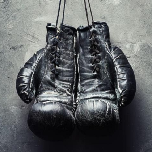 Learn Boxing logo