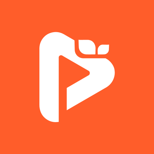 ProRaiz by Layers logo