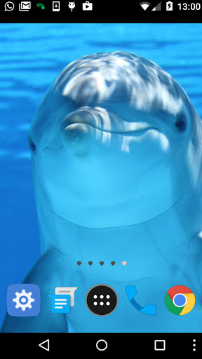 dolphin fish wallpaper Screen 2