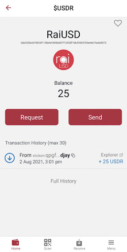 RaiPay Wallet 4