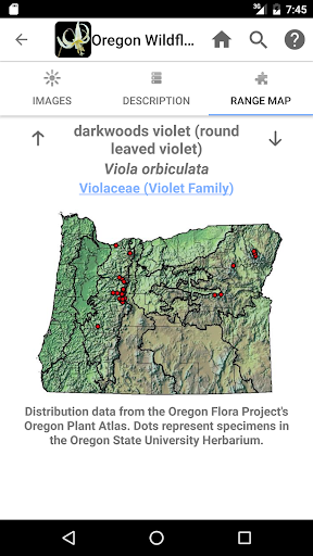 Screenshot of Oregon Wildflowers