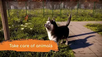 Game screenshot Animal Rescue Pet Story Game hack