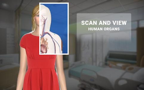 X Ray Body Scanner Real Camera
