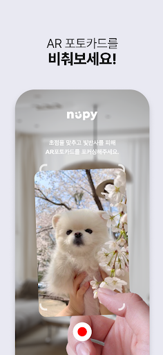 NUPY Screen 3