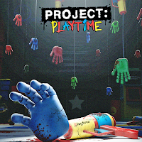 Project Playtime