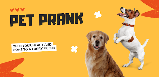 Pet Translator - Pet Prank