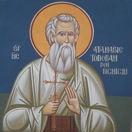 Sfinții Mc. Năsăudeni logo