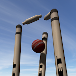 Cover Image of Download Cricket LBW - Umpire's Call 2.810 APK