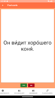 Russian Declension Flashcards screenshot 12