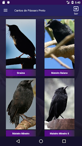 Android application Cantos do Passaro Preto, Melro screenshort
