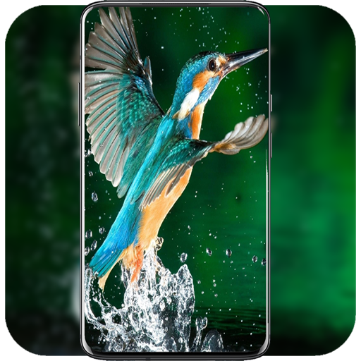 Bird Wallpaper logo