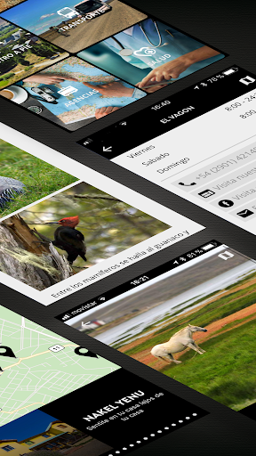 Darwin Travel App Screenshot 4 - AppWisp.com