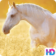 Top 20 Personalization Apps Like Horse Wallpapers - Best Alternatives