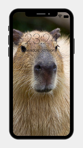 Capybara Wallpaper