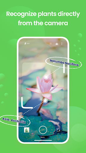 Plant identifier - Plant ID