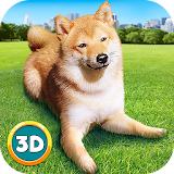 Play With Your Dog: Shiba Inu icon
