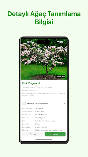 Ahşap AI Tarayıcı ekran görüntüsü